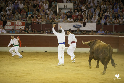 course landaise