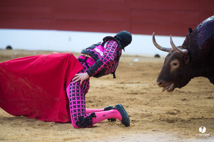Mont-de-Marsan corrida de Jandilla pour Padilla - Talavante - Roca Rey