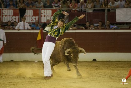 course landaise