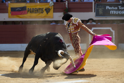 corrida, toro, vic fezensac, alcurrucen, michelito, morenito de aranda