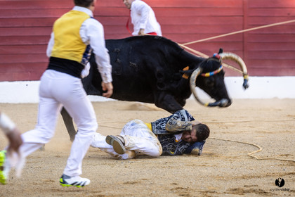 Aire-sur-l'Adour Championnat de France de course landaise 2023