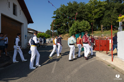 2025-07-05-1260.jpg