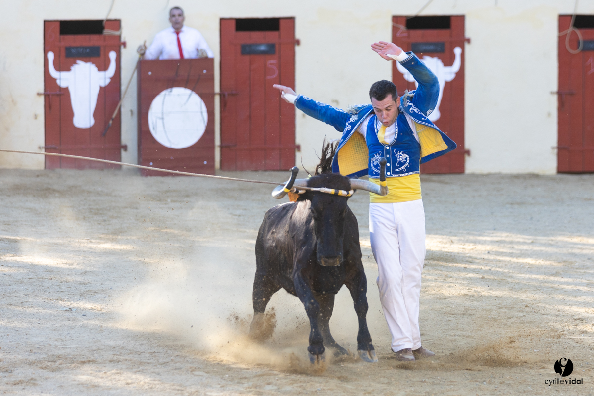 Course landaise