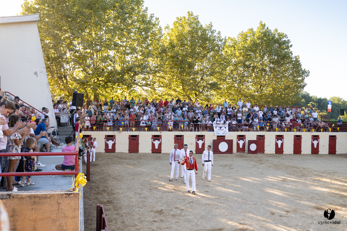 Course landaise