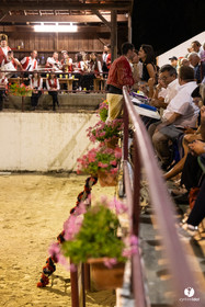 2025-07-11-2733.jpg