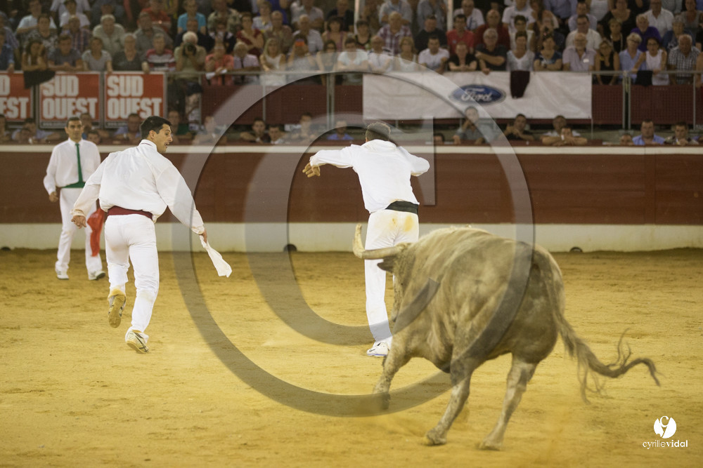course landaise