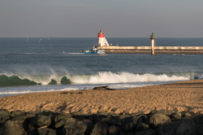 Paysages des Landes