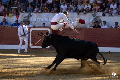 Aire-sur-l'Adour Championnat de France de course landaise 2023