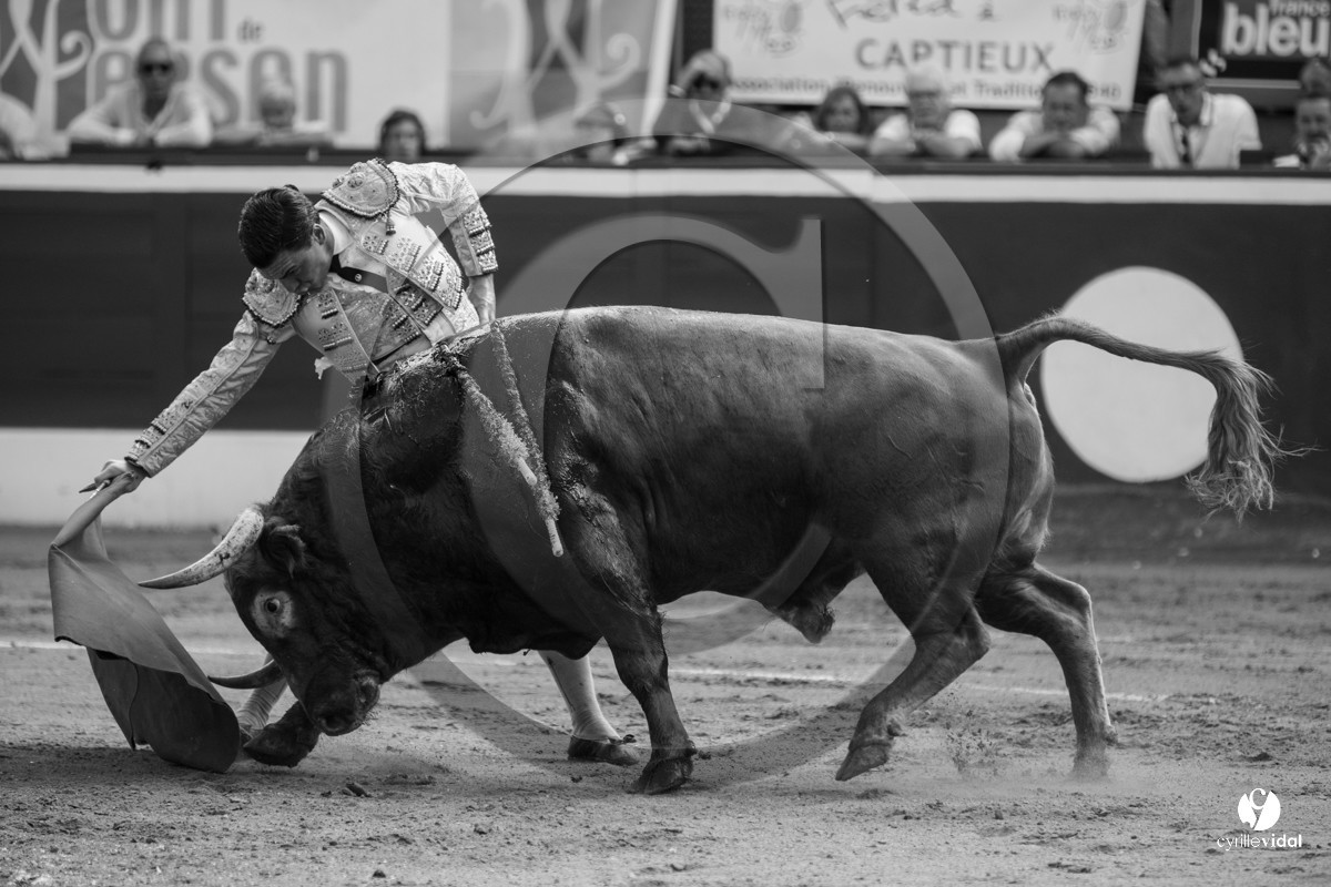 Mont-de-Marsan corrida de Dolores Aguirre pour Octavio Chacon - Pepe Moral - Juan Léal