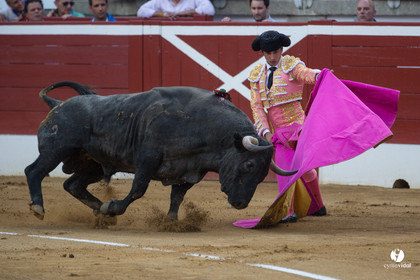 Mont-de-Marsan corrida d'Adolfo Martin