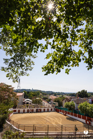 2025-07-05-1043.jpg