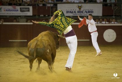 course landaise