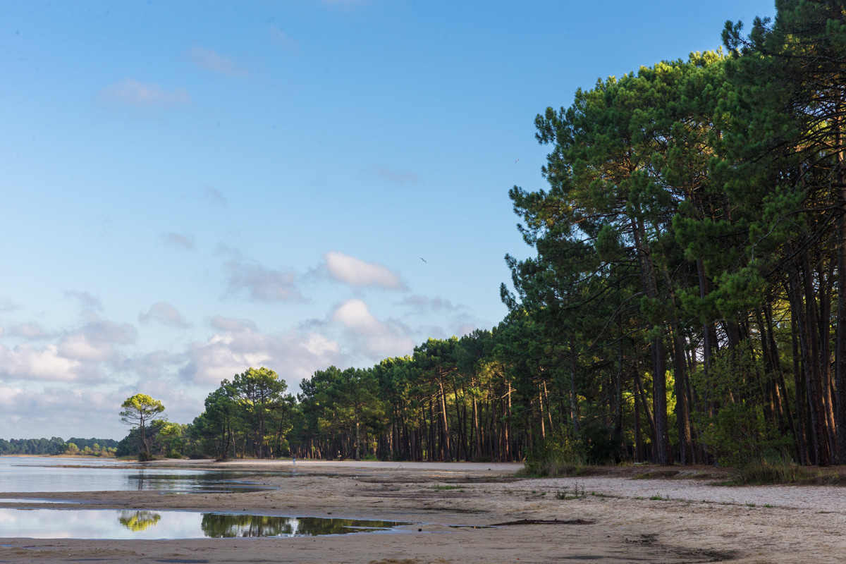 Paysages des Landes