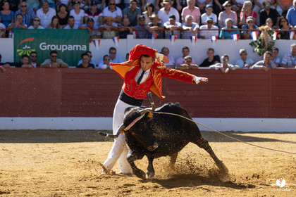 Aire-sur-l'Adour Championnat de France de course landaise 2023