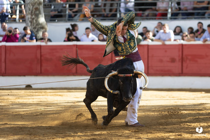 Nogaro Championnat de France de course landaise 2022