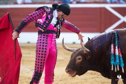 Mont-de-Marsan corrida de Jandilla pour Padilla - Talavante - Roca Rey