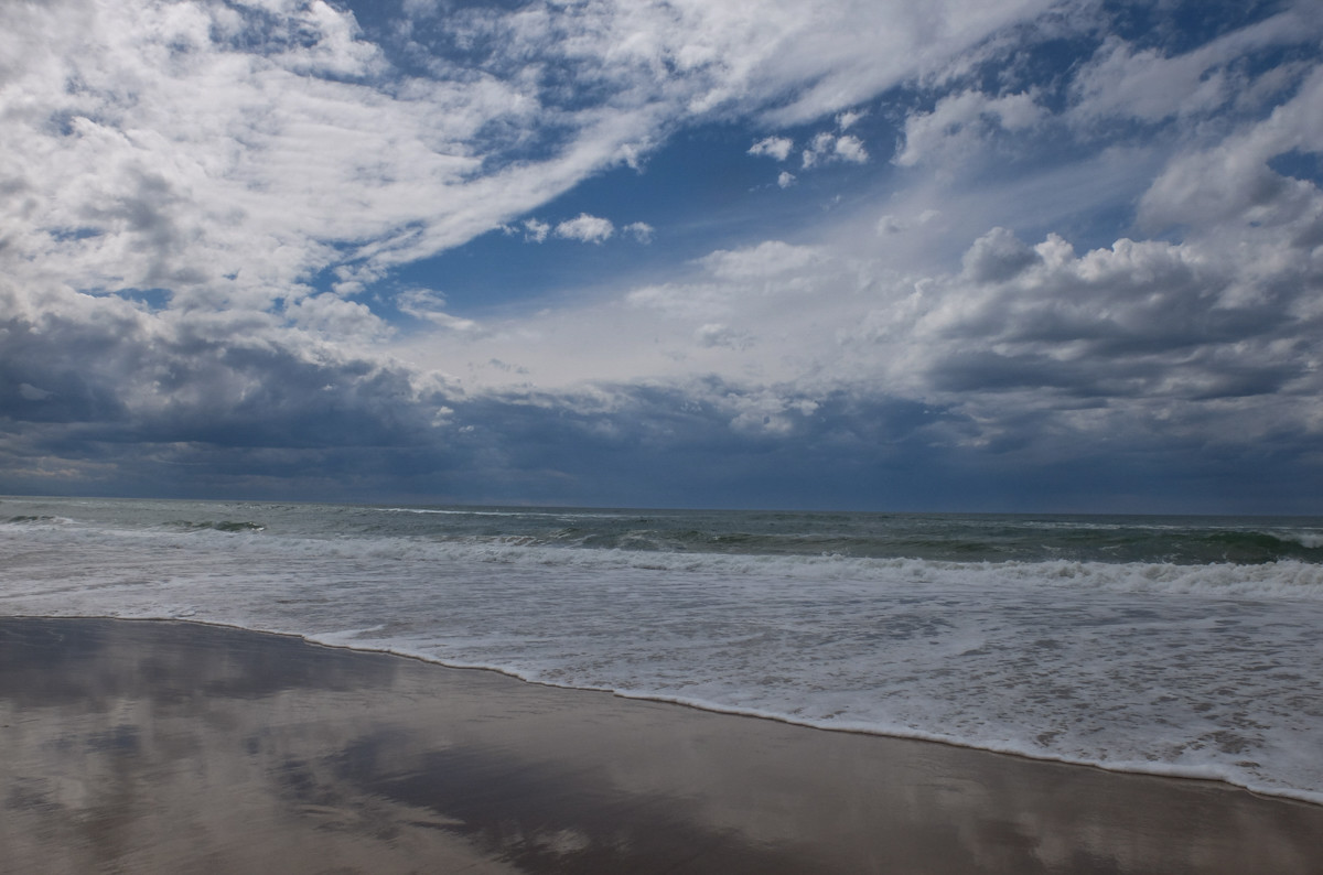 Paysages des Landes