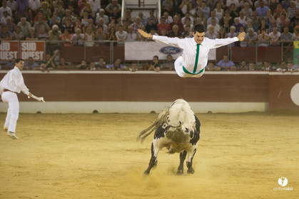 course landaise