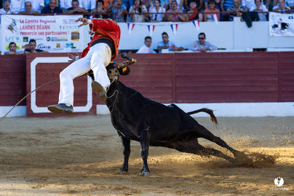 Aire-sur-l'Adour Championnat de France de course landaise 2023