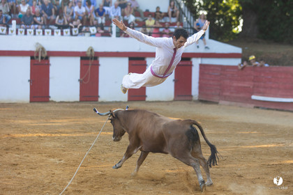 Course landaise à Panjas