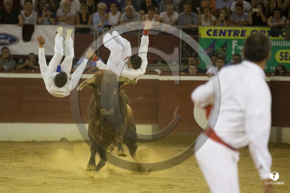 course landaise