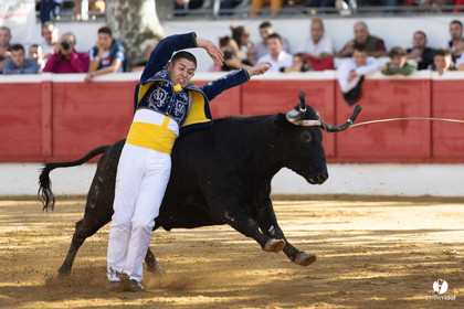 Nogaro Championnat de France de course landaise 2022