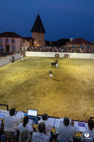 2025-07-11-2324.jpg