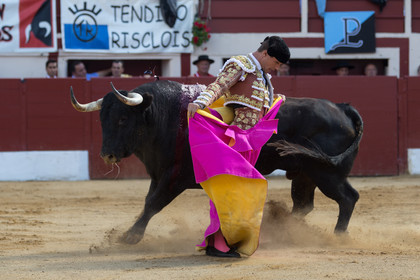 corrida, toro, vic fezensac, alcurrucen, michelito, morenito de aranda