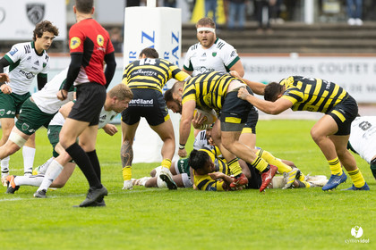 Stade Montois Rugby - Montauban