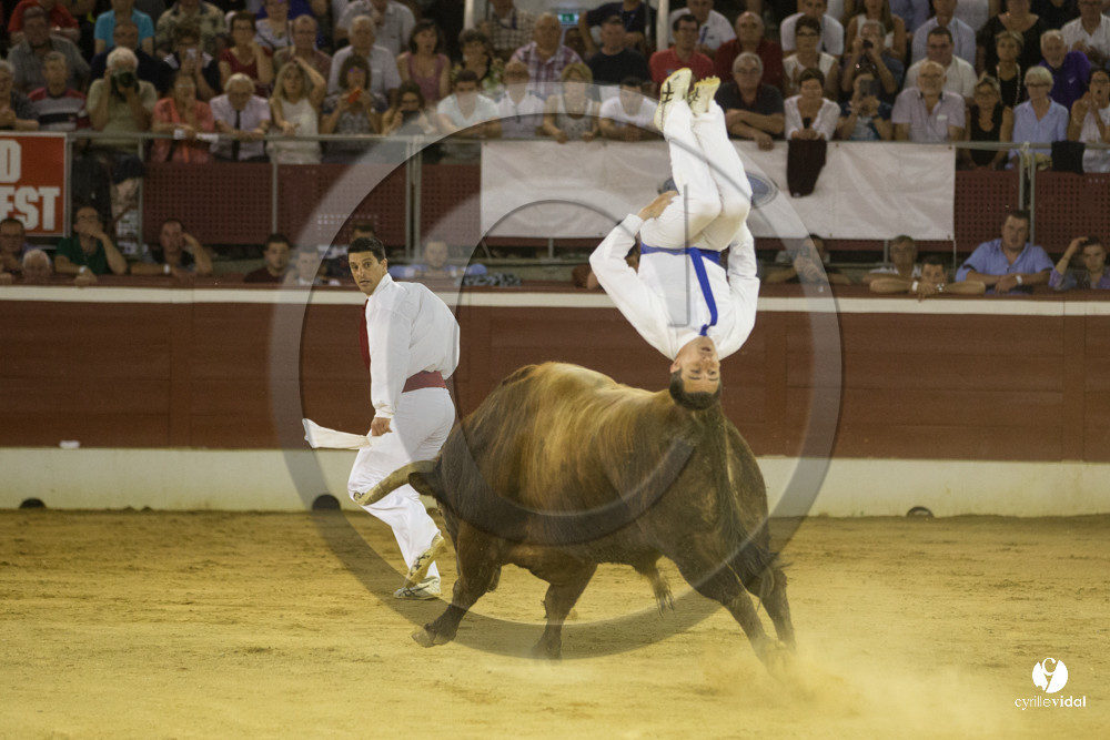 course landaise