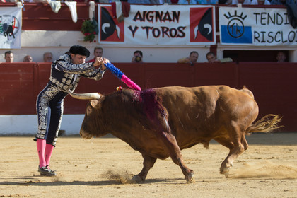 corrida, toro, vic fezensac, alcurrucen, michelito, morenito de aranda