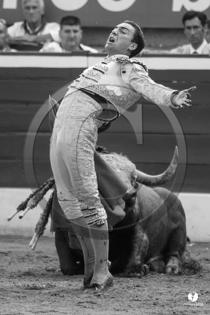 Mont-de-Marsan corrida de Dolores Aguirre pour Octavio Chacon - Pepe Moral - Juan Léal Mont-de-Marsan corrida de Dolores Aguirre pour Octavio Chacon - Pepe Moral - Juan Léal