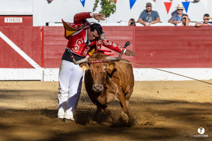 Aire-sur-l'Adour Championnat de France de course landaise 2023