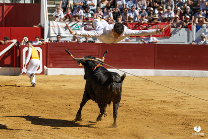 Aire-sur-l'Adour Championnat de France de course landaise 2023