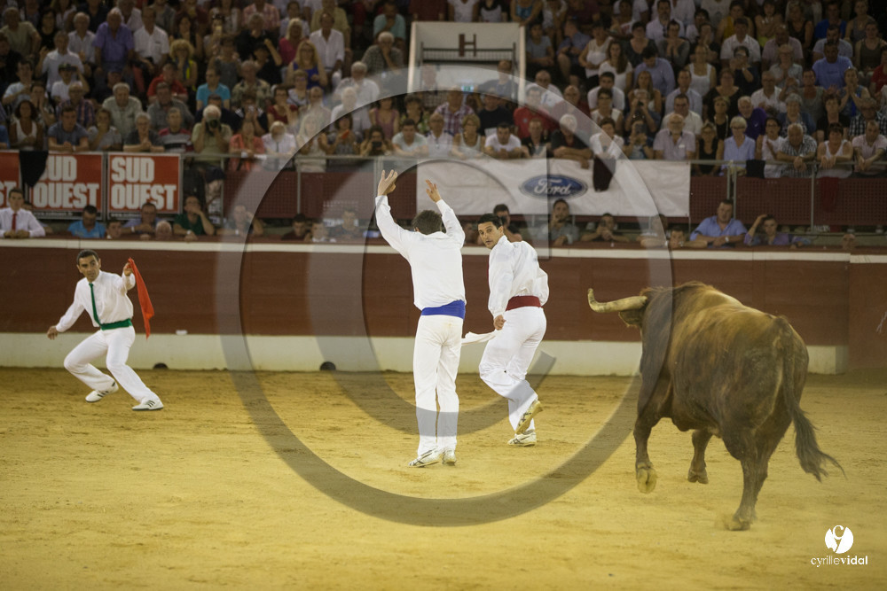 course landaise
