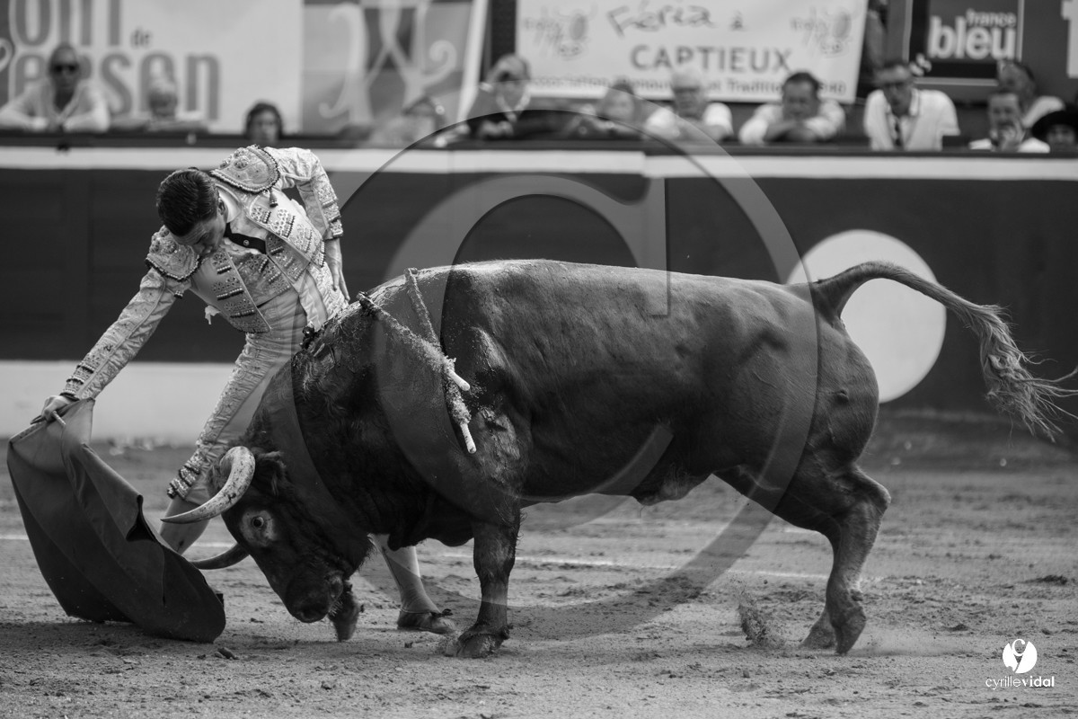 Mont-de-Marsan corrida de Dolores Aguirre pour Octavio Chacon - Pepe Moral - Juan Léal Mont-de-Marsan corrida de Dolores Aguirre pour Octavio Chacon - Pepe Moral - Juan Léal