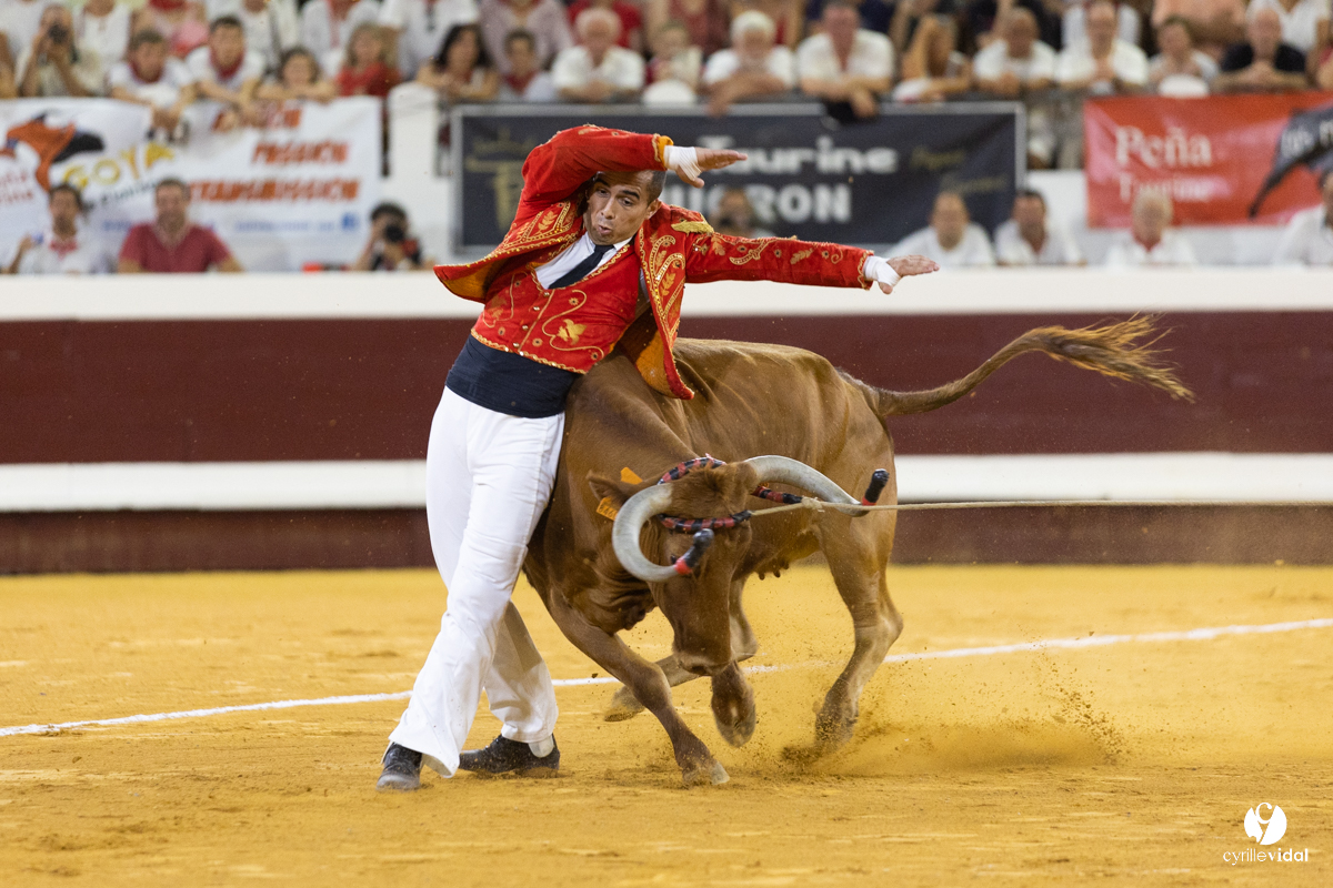 Dax concours landais 2022