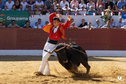 Aire-sur-l'Adour Championnat de France de course landaise 2023