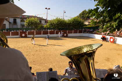 2025-07-05-1486.jpg