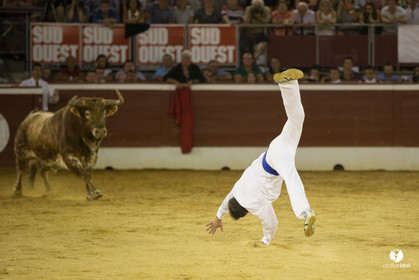 course landaise