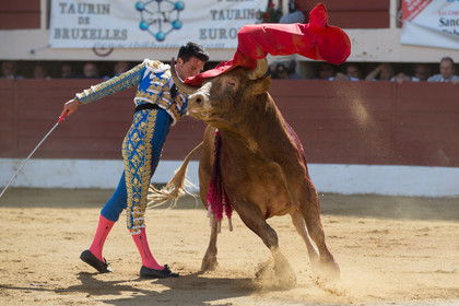 corrida, toro, vic fezensac, alcurrucen, michelito, morenito de aranda