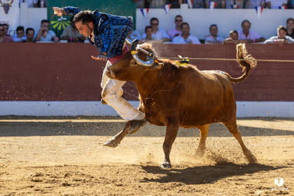 Aire-sur-l'Adour Championnat de France de course landaise 2023