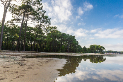 Paysages des Landes