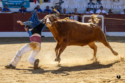 Aire-sur-l'Adour Championnat de France de course landaise 2023