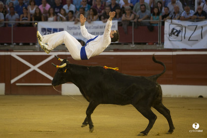 course landaise