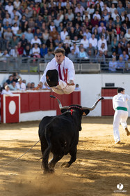Nogaro Championnat de France de course landaise 2022