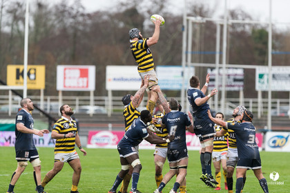 Stade Montois Rugby - Colomiers