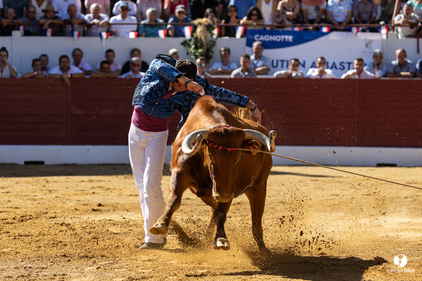 Aire-sur-l'Adour Championnat de France de course landaise 2023 Aire-sur-l'Adour Championnat de France de course landaise 2023