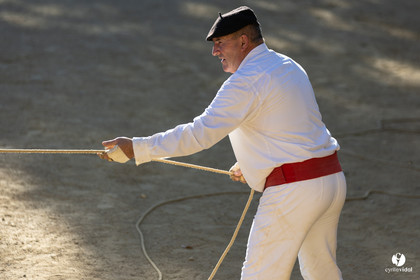 Course landaise