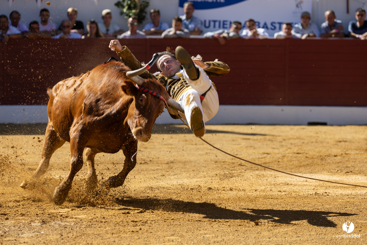 Aire-sur-l'Adour Championnat de France de course landaise 2023 Aire-sur-l'Adour Championnat de France de course landaise 2023